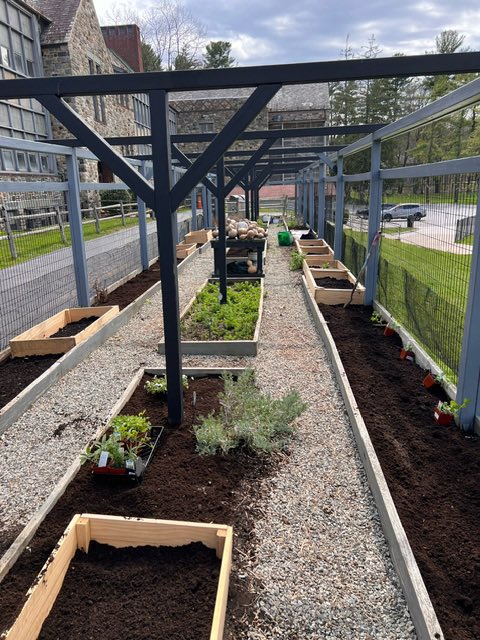 geoffcurtis's tweet photo. 🌱Big thanks to our Bell PTA and Green Bulldog Club for their amazing work getting organized for today's lunches 🥪🌿! Together, a school-wide planting will sew seeds of sustainability and community. 🌳👏 #BellSchool #GreenInitiative #CommunityEffort @chappaqua_csd https://t.co/zjmyRCDO7L