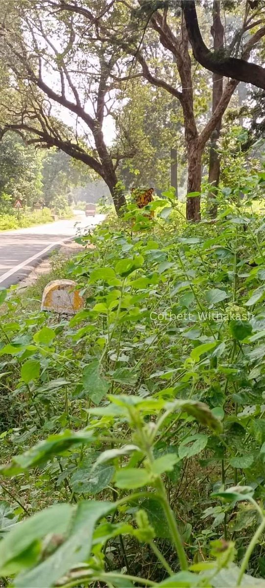 लघुशंका करने उतरा था...एक पल के लिए तो रूह कांप गयी थी.. यह कोई तरीका हुआ बोर्ड लगाने का.. जानी दुश्मन कहीं का 😏