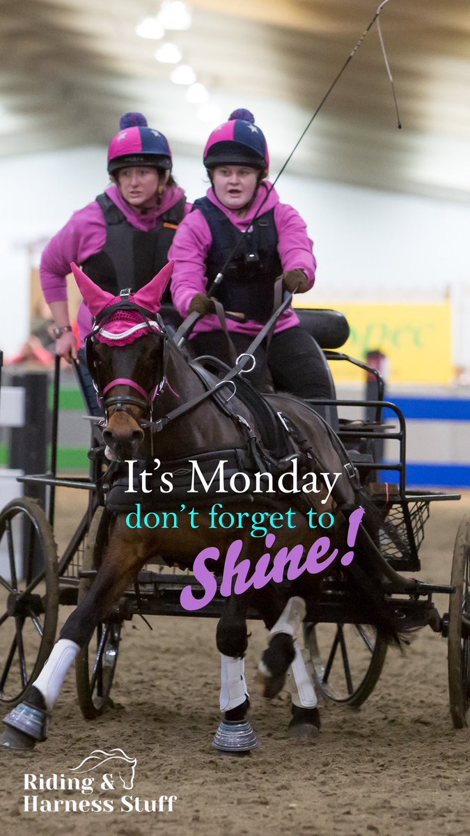 Harnessstuff's tweet image. #MotivationalMonday