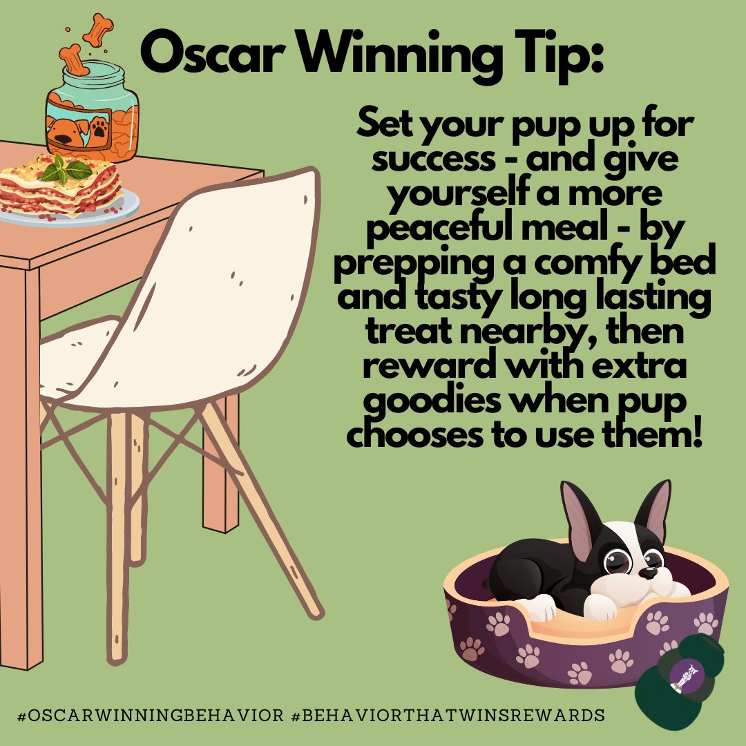 Good training is about making the right choice the easy one for your dog. This is just one example of an exercise you can practice to help your dog learn nice manners. 
#DogBehavior #CSAT #CDBC #ADT #iaabcPets #FearFreePets  #OscarWinningBehavior #BehaviorThatWinsRewards