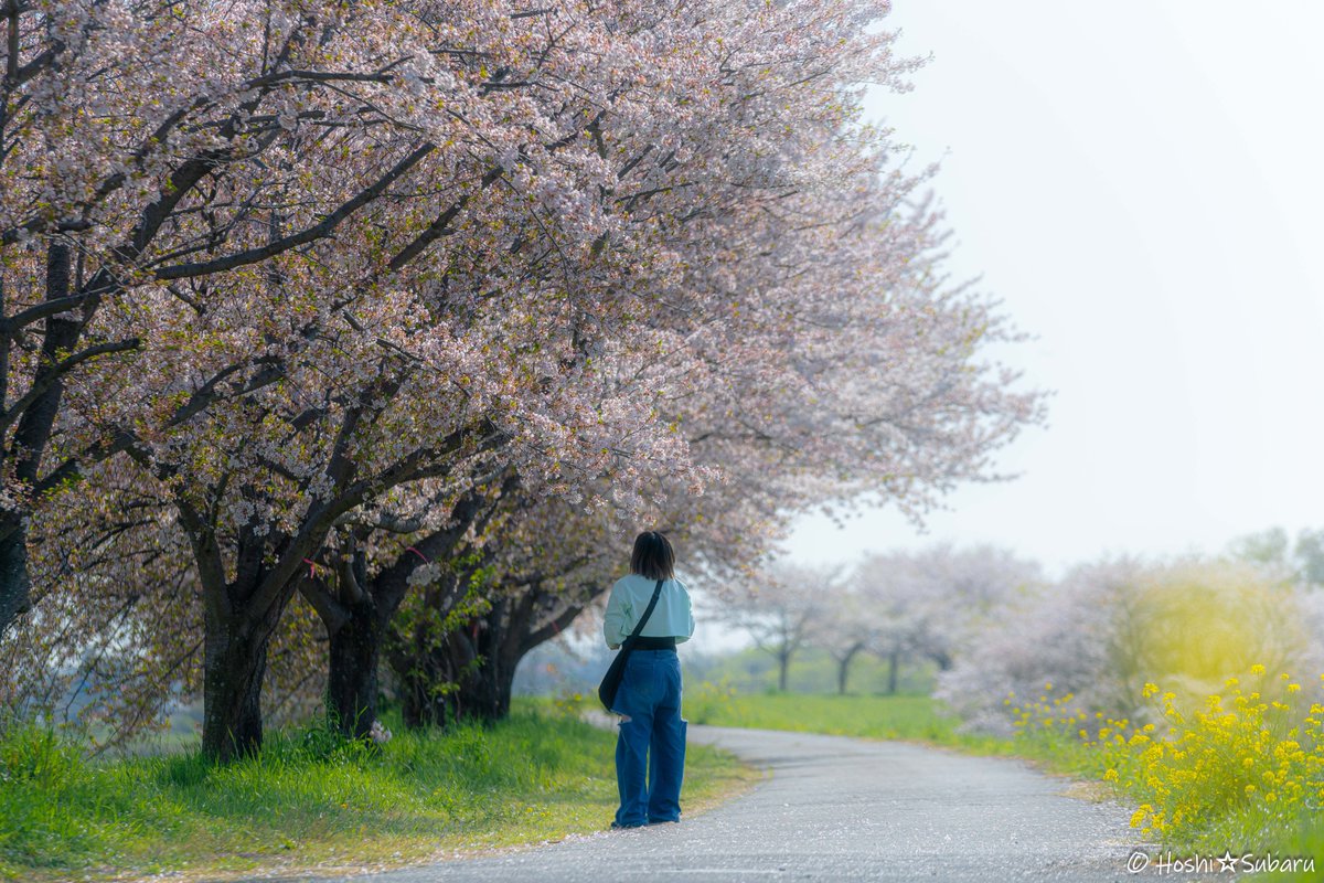 maa1547's tweet photo. 「楽しいとき」
#額装のない写真展 #春2024 #photography #coregraphy #streetphotography #snap #StreetStyle #写真好きな人と繋がりたい #ファインダー越しの私の世界 #キリトリセカイ https://t.co/5Qzgd4wMbZ