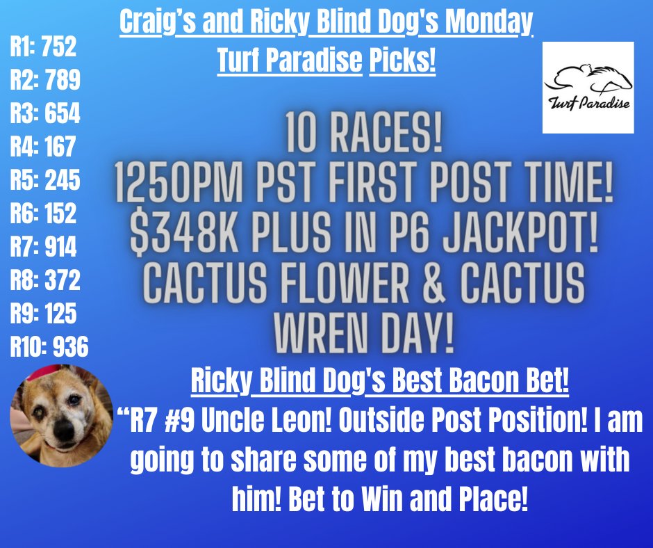 CraigeyB&PicoDog! tweet media