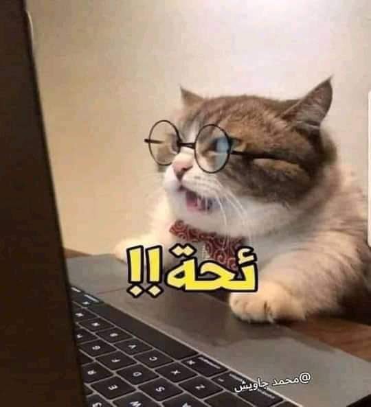 3w1_4's tweet photo. الاردن: https://t.co/LAKB3Bfe2I
