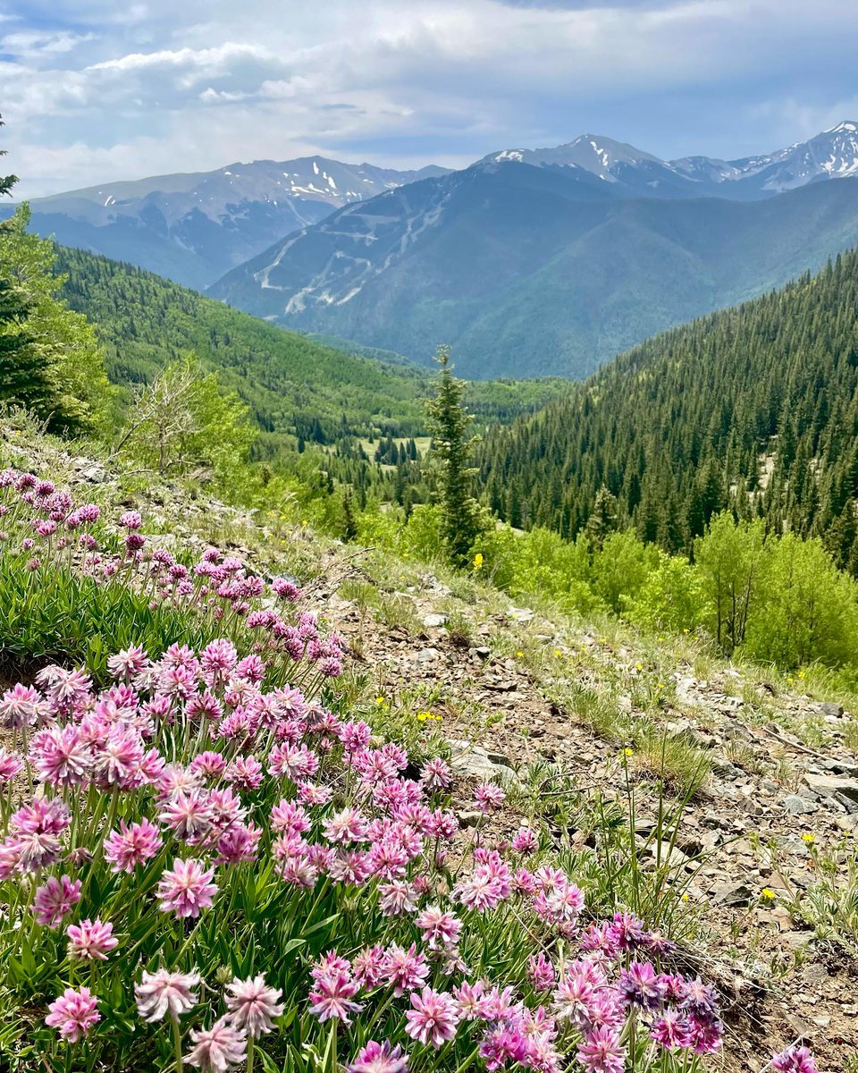 Winter showers bring spring flowers 🌻 This #Wildflower season, use the wildflower filter feature on #AllTrails to find hikes featuring spring blooms near you 🌼 bit.ly/3Ti7zld 📸 @nadiaanna, @a.baos.life, @everydayadventurefam, @joshlien27