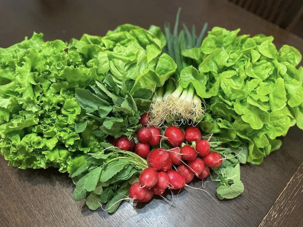 Strong communities are build over real and local food. Food that nourishes us and heals us, it’s both preventive and curative. 

Spring on my table!! #EatRealFood