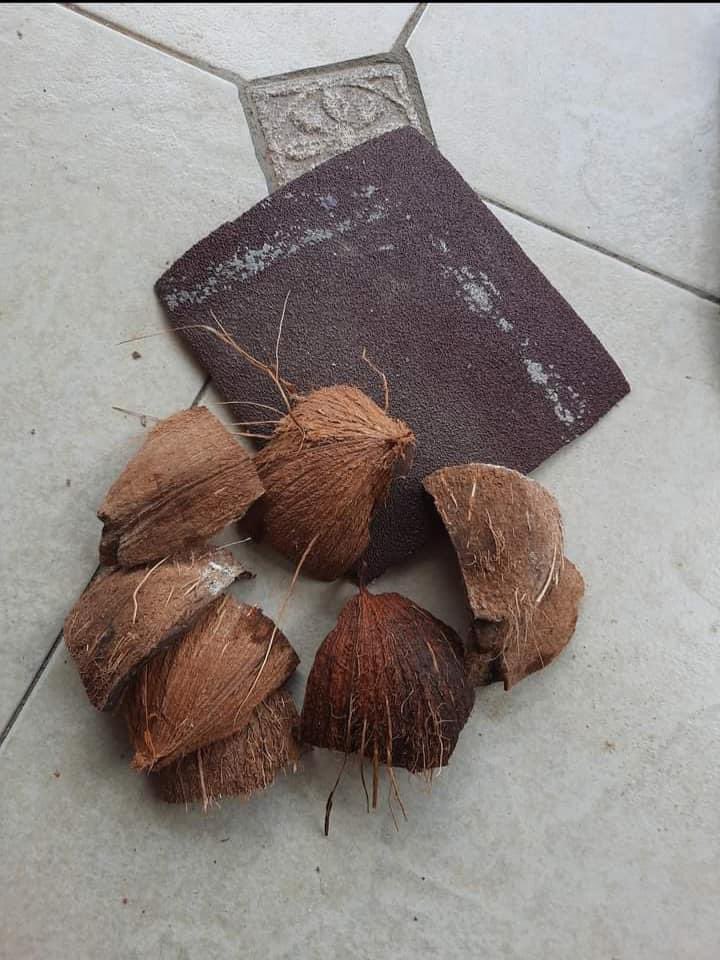 Audreys_Crafts's tweet image. #coconutshells

Crafted by Audrey’s Craft