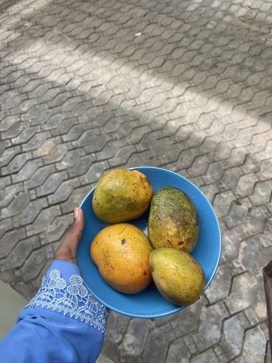 Mango sznnnnnn🥭