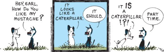 #Mutts daily comic strip for #Monday, April 15, 2024.

#AdoptDontShop 🍀🐾🐾🍀
#BeKindToAnimals 💜🐈‍⬛💙