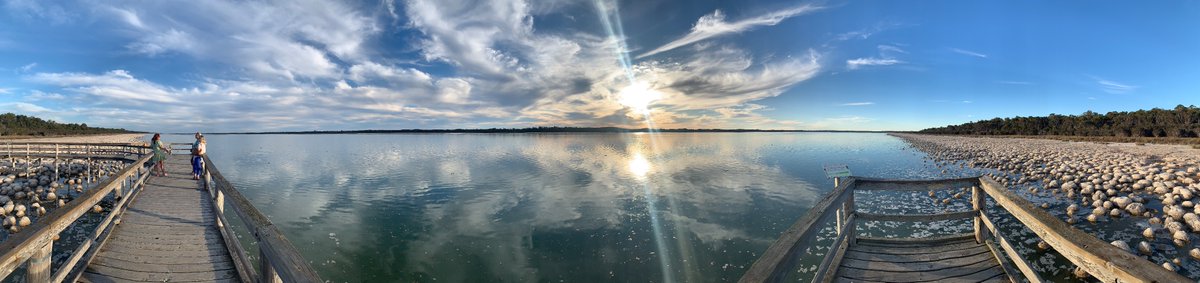 Autumn that feels like summer (and desperate for rain). Thrombolites at Noorook Yalgorup/Lake Clifton, WA. I'll post more pics to Insta soon but for now I'm enjoying the sun and sand and great company ☀️🌊🦘 #thisisWA