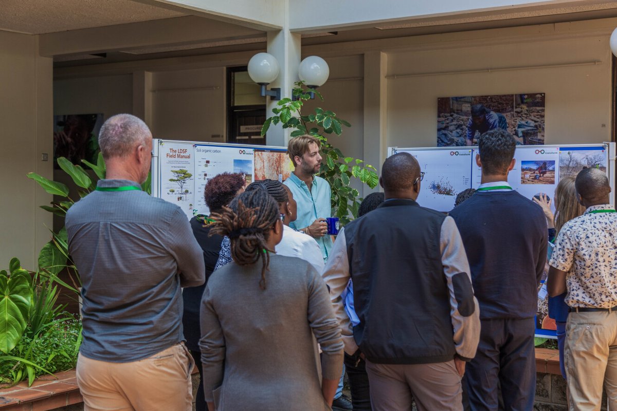 TheLandAlliance's tweet photo. Restoring degraded #rangelands is crucial to reversing land degradation trends and improving human wellbeing.

#Restore4More aims to restore functions and generate ecosystem services over 5 years, benefiting stakeholders locally and globally. @lawinowiecki 

@_SLU @ca4sh @uonbi https://t.co/3op7JWi6dW
