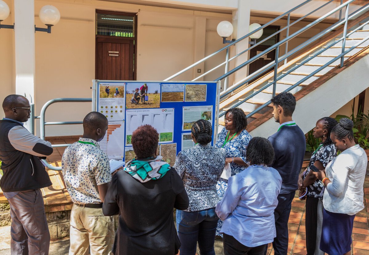 TheLandAlliance's tweet photo. Restoring degraded #rangelands is crucial to reversing land degradation trends and improving human wellbeing.

#Restore4More aims to restore functions and generate ecosystem services over 5 years, benefiting stakeholders locally and globally. @lawinowiecki 

@_SLU @ca4sh @uonbi https://t.co/3op7JWi6dW