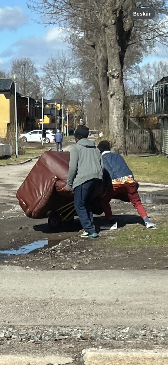 Filochsofen's tweet photo. Många har sagt att invandrare är slarviga med sopsortering, men på bilden har vi beviset att så inte är fallet! 2 killar rullar en soffa till det lokala soprummet i Sandviken. #migpol #Sandviken #sopsortering #israel #skärholmen #vänstern #nyabruket https://t.co/iIp2YBwuZe