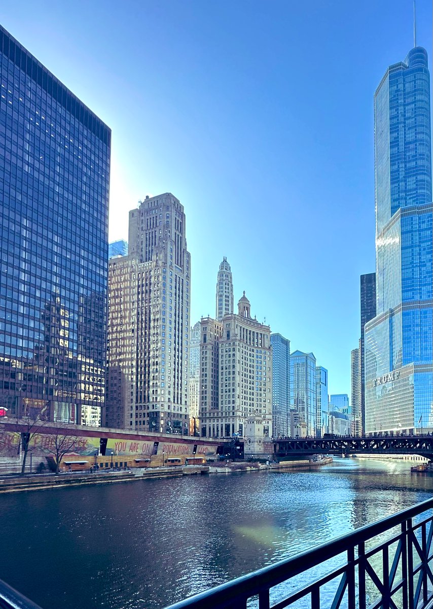 Veronika tweet media