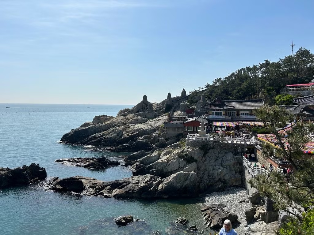 GoWithGuide's tweet image. Where in the world is #gowithguide today? We’re in #busan with expert #localguide Dylan K. and travel enthusiast Guylaine C. who experienced “a great itinerary!” Photo credits: Guylaine C. (traveler) &amp;amp; Dylan K. (tour guide) check him out here! gowithguide.com/supplier/47239