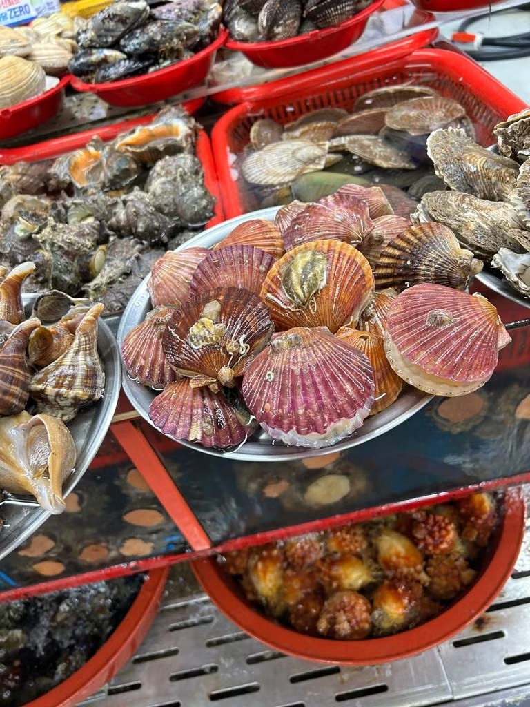 GoWithGuide's tweet image. Where in the world is #gowithguide today? We’re in #busan with expert #localguide Dylan K. and travel enthusiast Guylaine C. who experienced “a great itinerary!” Photo credits: Guylaine C. (traveler) &amp;amp; Dylan K. (tour guide) check him out here! gowithguide.com/supplier/47239