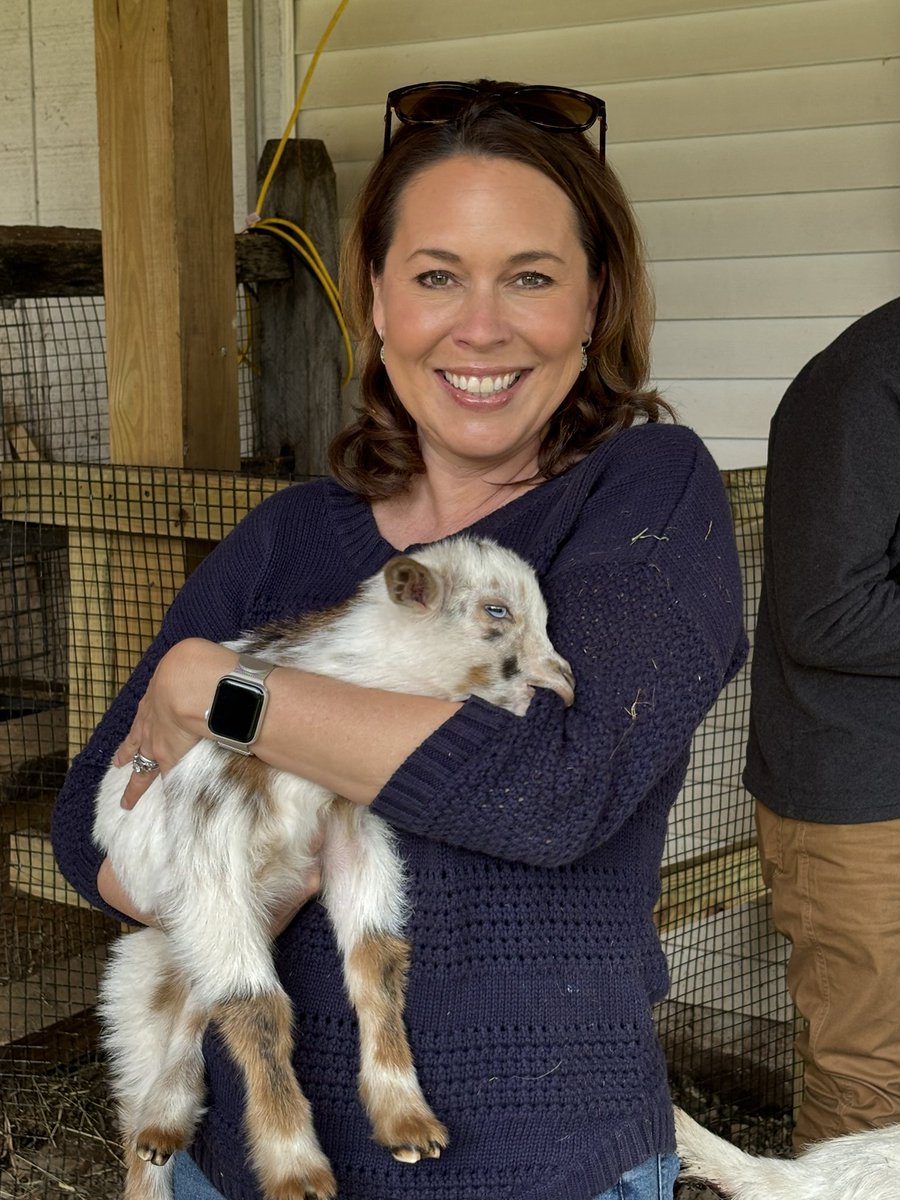 Watch @WTNH at 10am for a look at Barn Babies at Bradley Mountain Farm! ❤️🐐❤️ So cute! ❤️🐐❤️