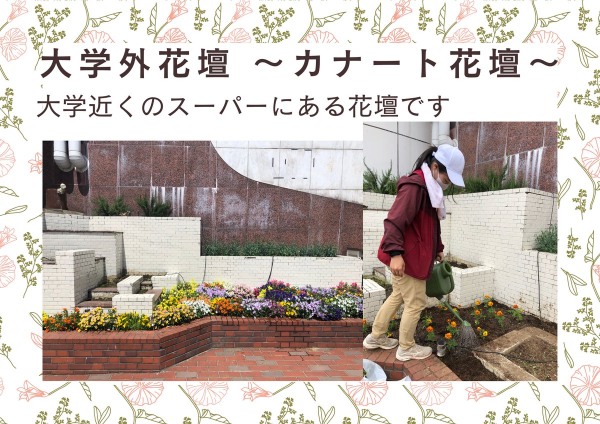hanapro3's tweet photo. 【💐はなさかプロジェクト活動紹介🌸】
しばらく投稿しておらず申し訳ございません🙇‍♀️
大阪公立大学はなさかプロジェクトです！
大変遅くなりましたが、はなさかプロジェクトの活動紹介を作成したので、ぜひご覧ください✨

#春から大阪公立大学　#春からomu #春からハム大 https://t.co/ZlX6uSLZgq