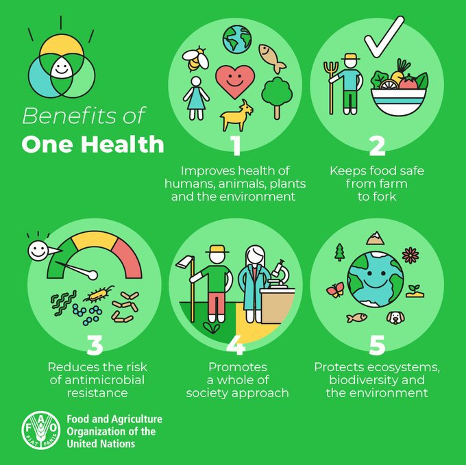 To build a better future for all, we need to address global health issues. To do this, we must collaborate across all sectors. Why? Because human, animal, plant and environmental health are all inextricably linked. Le's work together for #OneHealth!