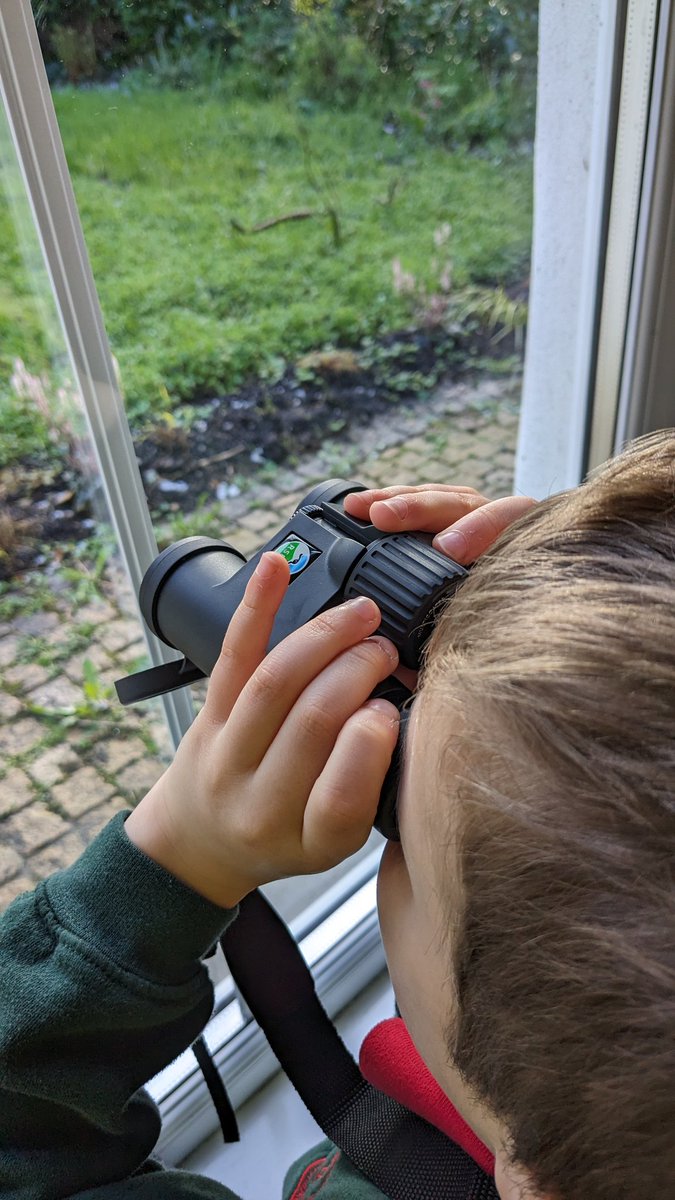 Enjoying watching the Great Tits get their nest ready and catch insects. Loving our new @rspb binoculars #wildlifegardening #nature #Birds