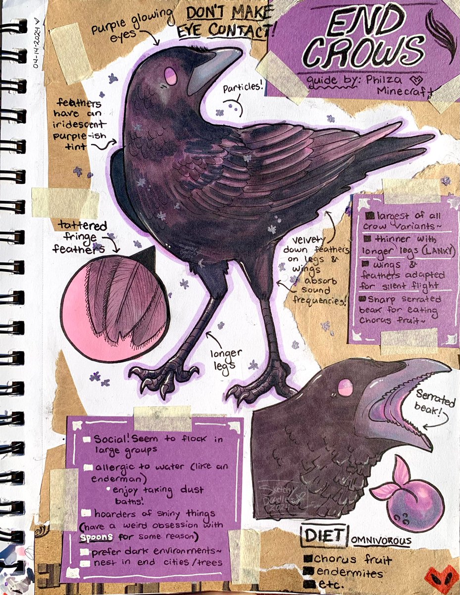 toffee_dip's tweet photo. For context, me and a few crows on Phil’s Discord had this idea of “What if there were Minecraft crows that were specialized and adapted to live in different realms/biomes?” 

So now we have End Crows 💜
[ #philza #philzafanart #minecraftcrows ] https://t.co/YOyRNBY7Rs