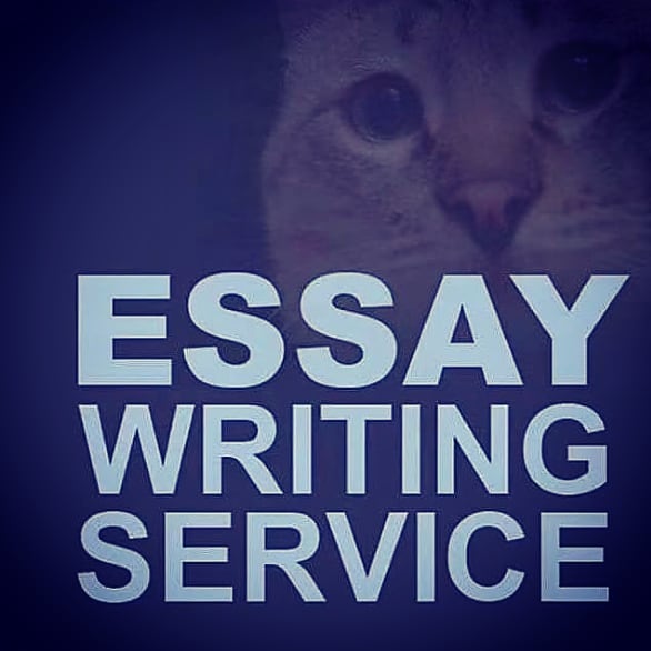 Quality academic work.
Timely delivery, 24/7 client support and affordable rates.
We mean our word. Work with us,we will get you the best grades!
#essays
#thesis
#dissertation
#homework
#labreports
Dm us!
#Dojchella #LIVCRY #cryptocrash #themasters #TrumpTrial #GMMTV #newweek