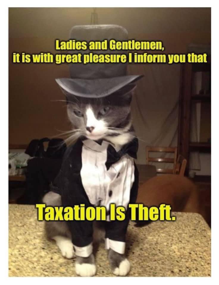 GM again.

Taxation is theft every day, but today is like the holiday for it. 😑