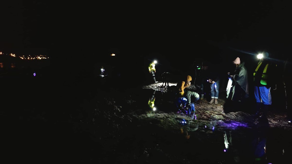 We’re excited to host our next nighttime rockpooling event this Thurs!

It’s going to be an unforgettable experience under the stars! Attendees will get to enjoy the magic of spotting nocturnal critters in a whole new light with our UV torches revealing vibrant colours & patterns