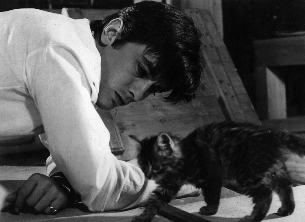 Alain Delon in 'Les félins' (aka 'Joy House'), 1964. #AlainDelon #Delon #film #FilmTwitter #Caturday