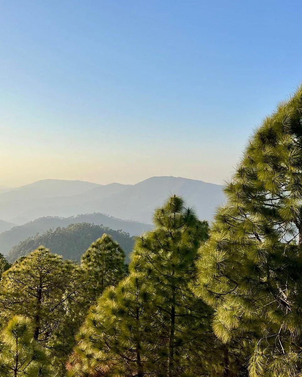 The Himalayan Writing Retreat tweet media