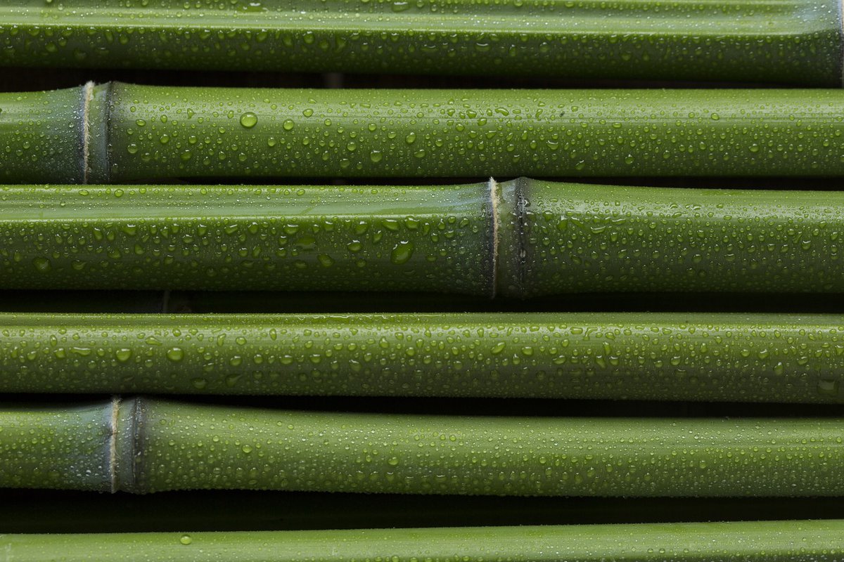 With sustainability and green claims being a key focus for many brands globally, the number of “green filings” has risen exponentially. Here Brendon Vyas provides guidance on those looking to set up green certification trade marks: brandwrites.law/the-green-ligh…

#GCTM #TradeMark #IP