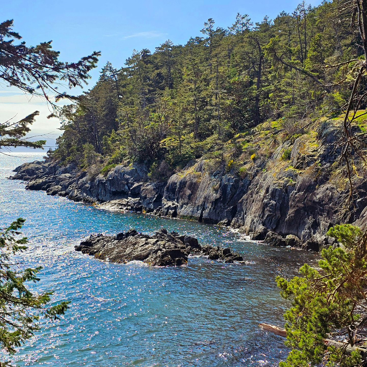 Mossy green and ocean blue—the unofficial colours of Vancouver Island 🌲💧

📍: East Sooke Regional Park 
📸: ameera.93 (IG)

#explorevictoria #sooke #explorebc #experiencevancouverisland #pnw