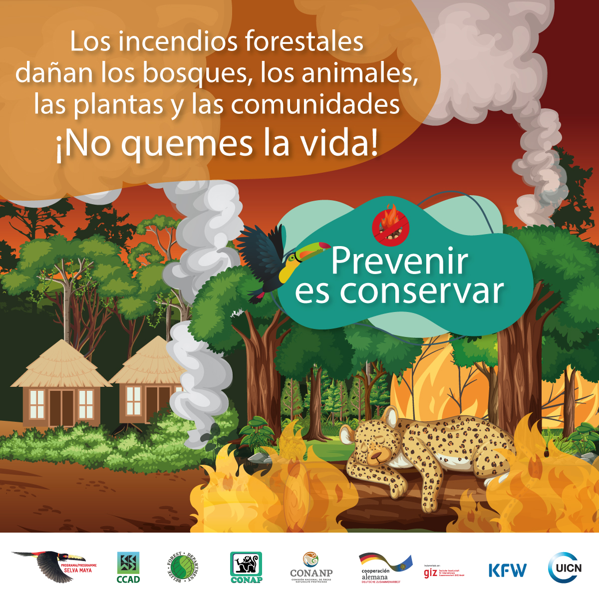 Los #IncendiosForestales dañan los bosques, los animales, las plantas y las comunidades, #NoQuemesLaVida, #PrevenirEsConservar.

☎️Repórtalos al 119