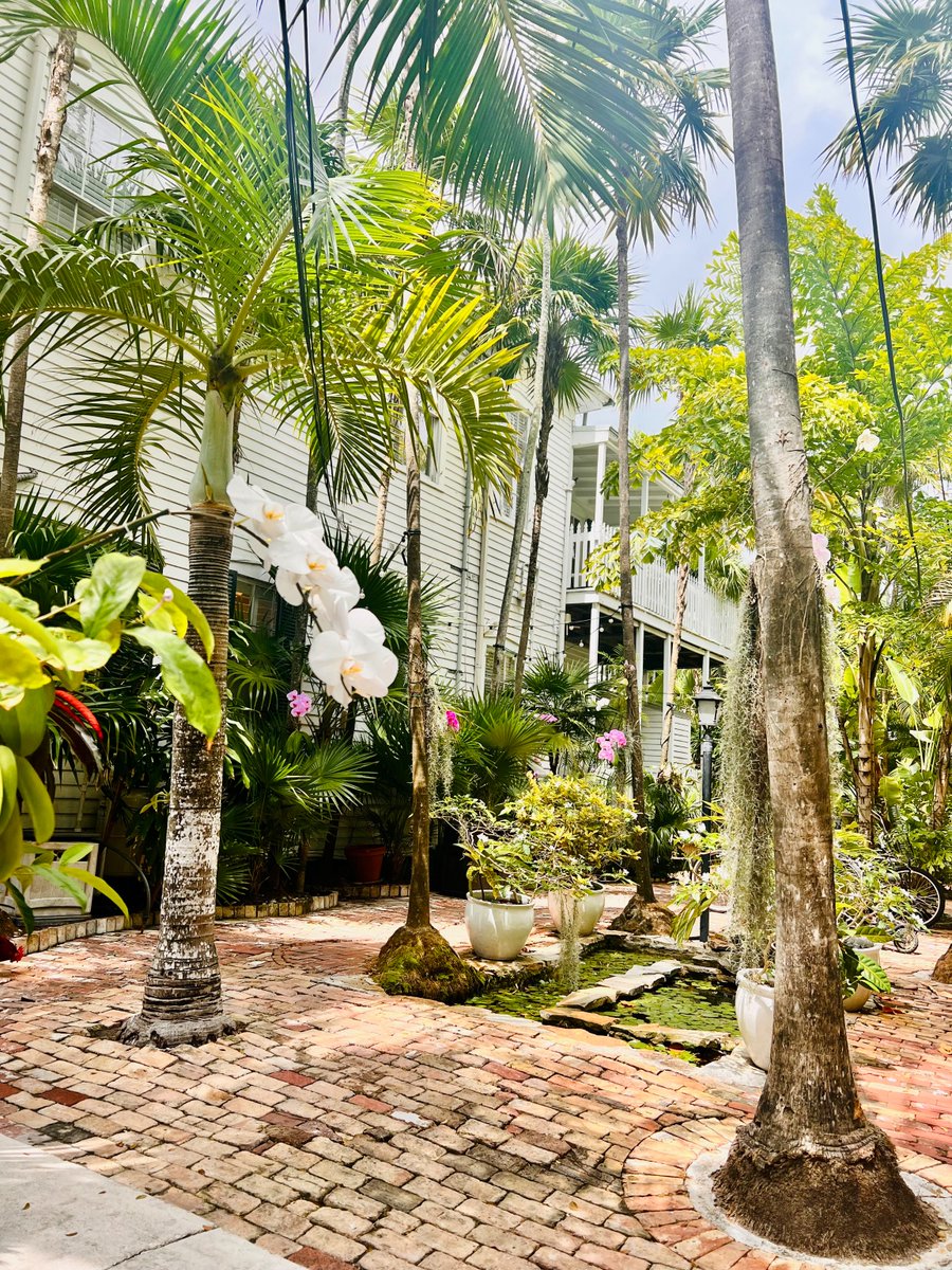 Welcome to Old Town Manor! Relaxed charm in the heart of it all. 🌴
.
.
.
#oldtownmanor #oldtownmanorweddings #keywest #flkeys #lovefl #petfriendly #bedandbreakfast #duvalstreet #oldtownkeywest #florida #greenhotel #boutiquehotel #hotel #historicinn #keywestvacation