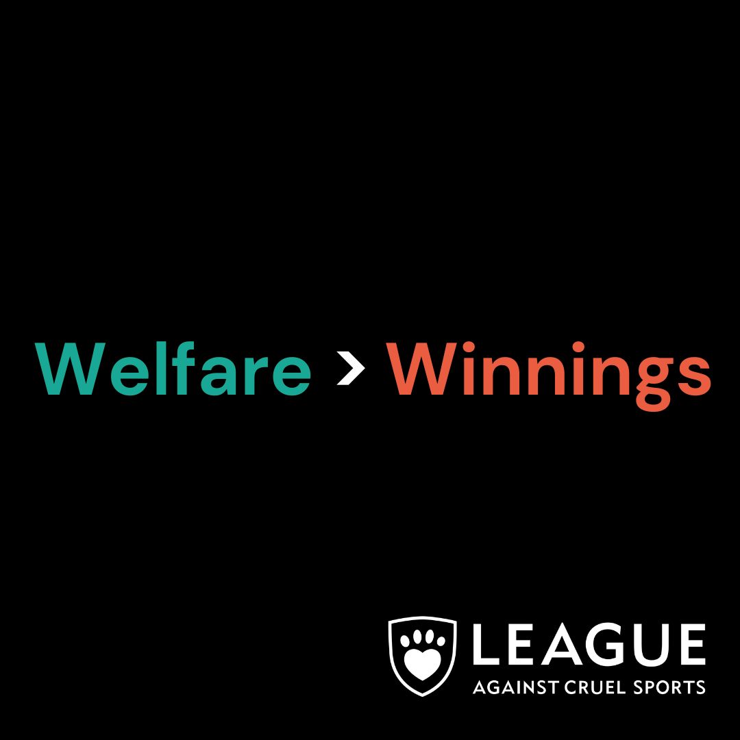 🐎 Welfare > Winnings 💷 Every stride for victory shouldn’t cost a life 🏆 As the dust settles on Aintree Festival, we're relieved that no horses died during the Grand National this year. However, our hearts remain heavy as we reflect on the deaths of Giovinco and Pikar, the…