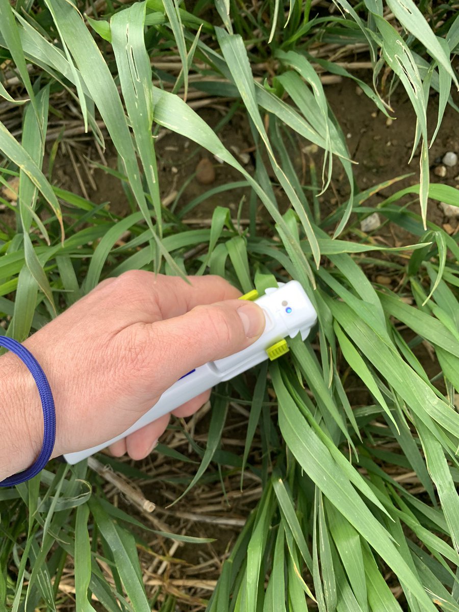 Tom Jewers tweet media