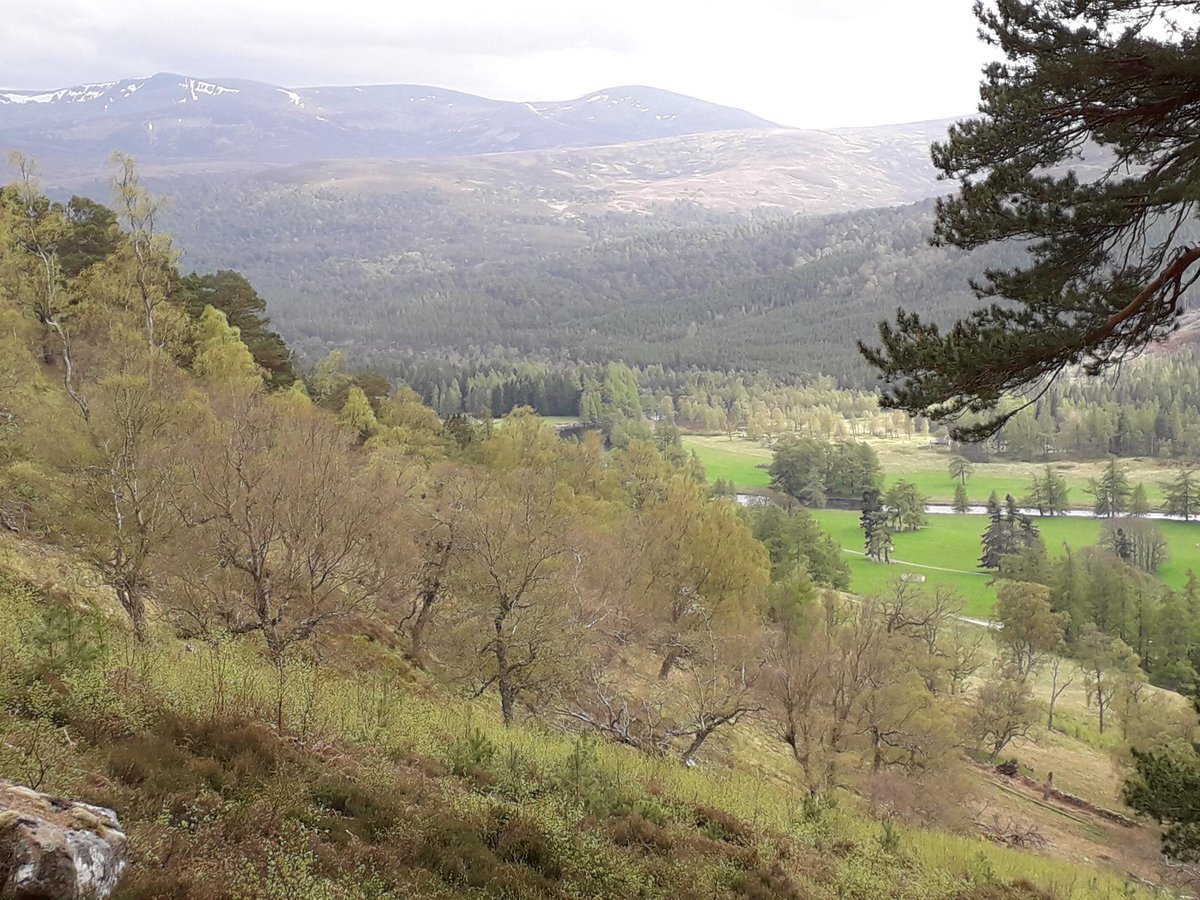 🆕Blog out now

👉🏼 Fieldwork Diary #5: Why did I take my blanket for a walk in the woods?

Will McLellan, a @UofG_SBOHVM PGR Student, tells us more about his feildwork experience on tick denisty in human-impacted enviroments.

naturallyspeaking.blog/2024/04/15/fie…