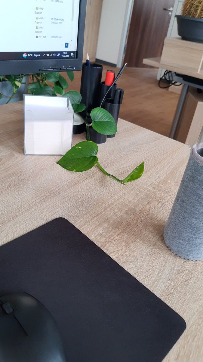 Nature is slowly, but surely reclaiming my office desk 🌳
#ReturnToNature