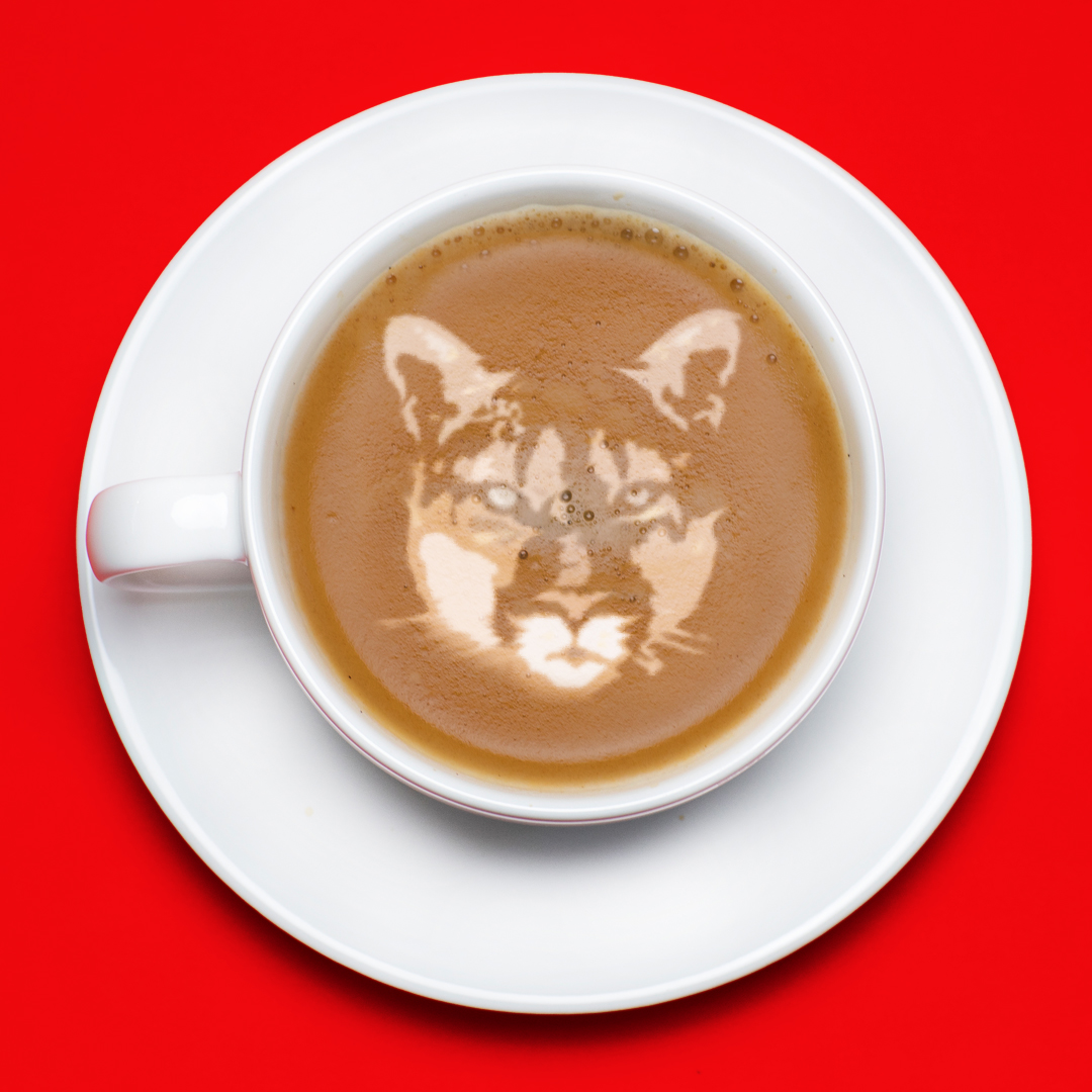It's Monday, Coogs, and the start of another great week! But first, coffee...