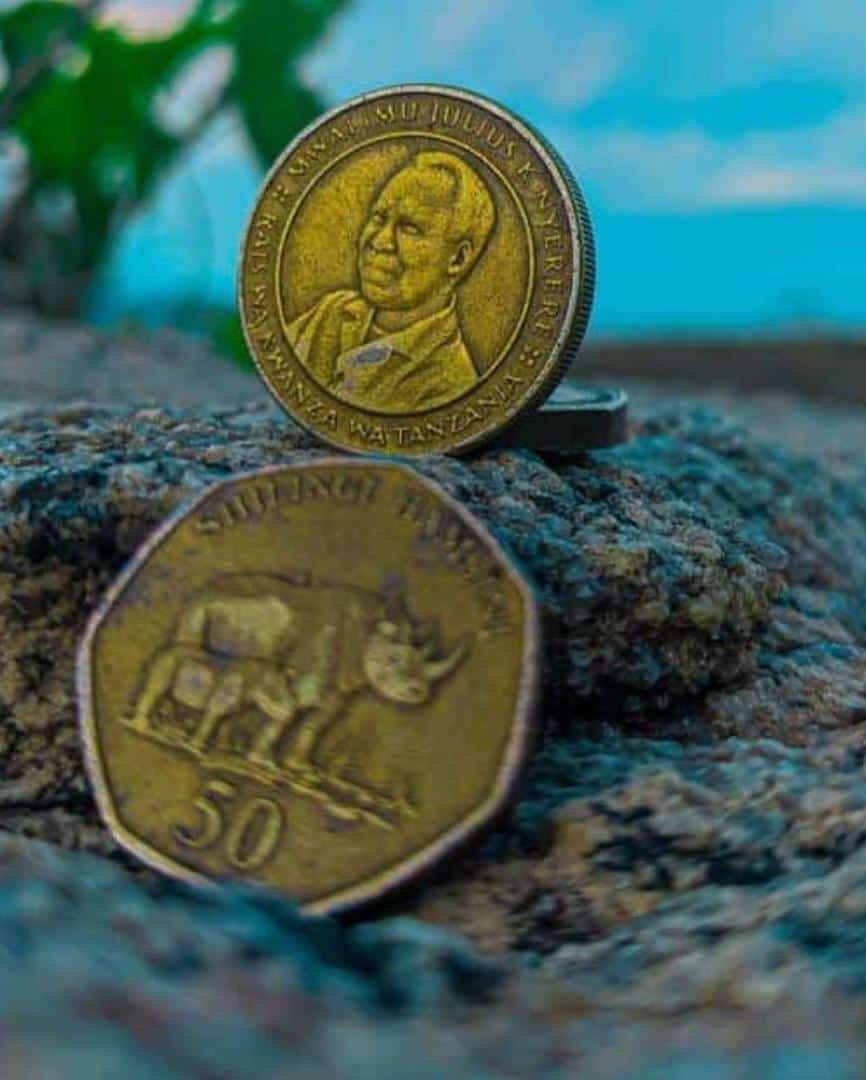 asiliasali's tweet photo. Picha za pesa thread 👇👇 https://t.co/CXoAYBYgec