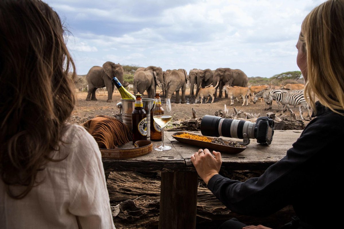 Game viewing from the hide!

📸 @greatplainsconservation

#Vayeni #sustainabletravel #WeShareAfrica #Zambesia #safariexperts #onsafaris #luxurytravel #GreatPlainsConservation #luxuryvacation #travelwithus #wildlife #safari #conservationtourism