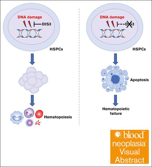 Multiple myeloma–associated DIS3 gene is essential for hematopoiesis, but loss of DIS3 is insufficient for myelomagenesis
ow.ly/W3lL50RgahG #lymphoidneoplasia #myeloma