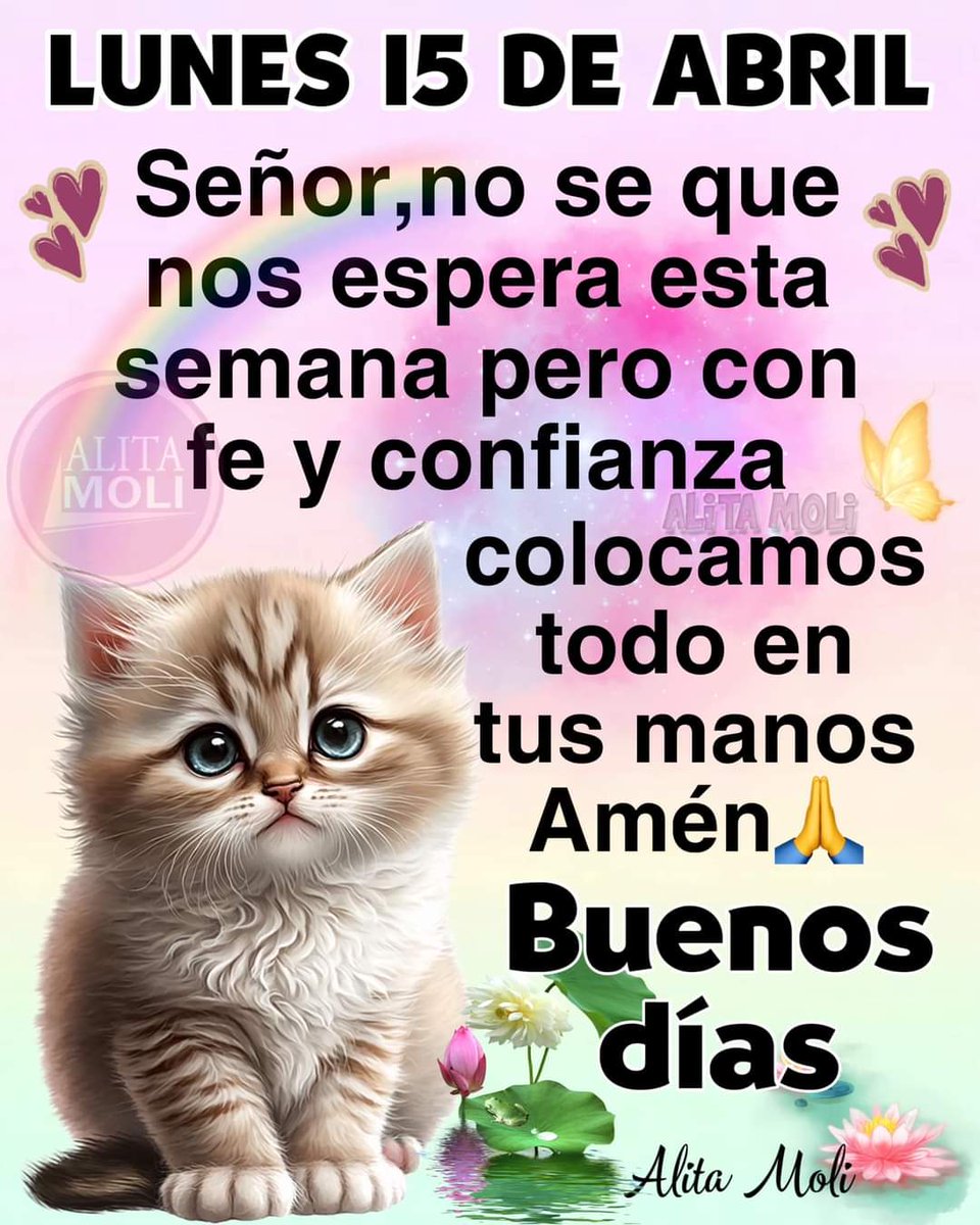 Patricidomi's tweet photo. Buenos días https://t.co/Hfk0jOwrP3