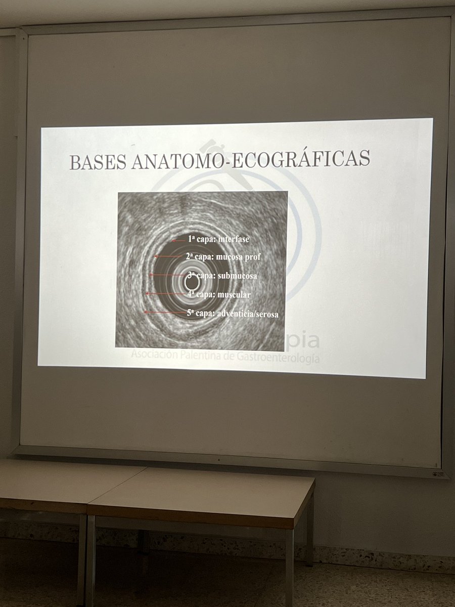 Primer día de nuestro curso de ecoendoscopia. 😍😍