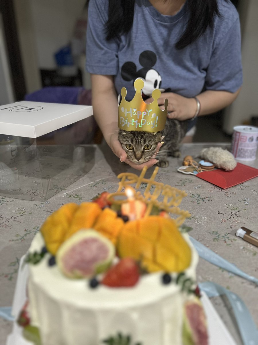 nonoeatmeat's tweet photo. 祝揪揪生日快乐！！！！！ https://t.co/FA68FNyUck