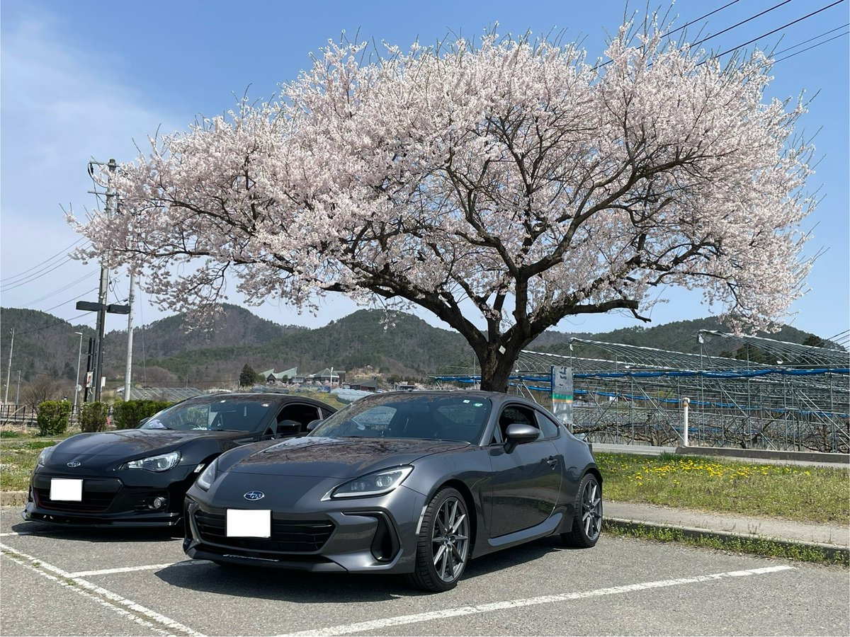 桜とBRZ🌸
ベストショット！！

#桜 
#新旧BRZ 
#zc6 
#zd8 
#車好きと繋がりたい