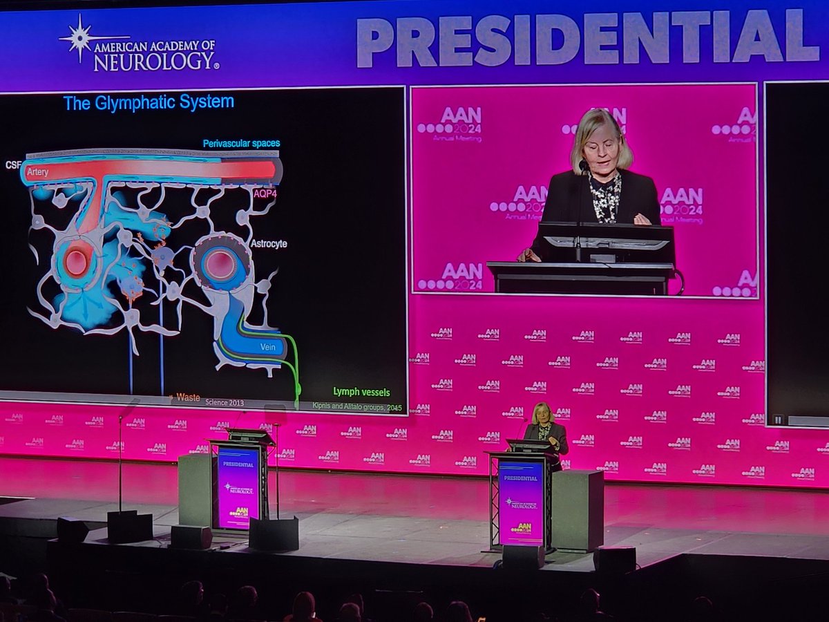 I was so amazed and excited for the Presidential Plenary yesterday!! After following her work for a few years, it's a great honor to hear Maiken Nedergaard in person. Thank you for your amazing work and your thought-provoking presentation. #AANAM #glymphatics @AANmember