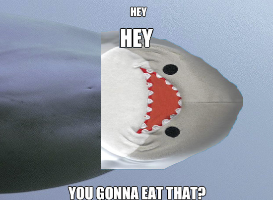 Hey $CS fam! Get ready, we've got some cool surprises lined up for you all. Can't wait to share them 🦈🦈

stay tuned! 🚀

CA:  99ExaANo8At2CpCekjZtWL6tbi22qjk1nrkPJDEShPuL

Join now the top Solana community🦈🔥
copyshark.tech 
t.me/copysharksol