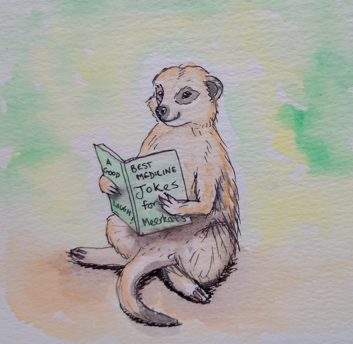 Happy #AnimalAlphabets Monday! This week's word is Medicine so here is my Meerkat hoping that laughter is the best form. 😁 Hope you have a great week! ☺️💕 @AnimalAlphabets #medicine #meerkat #jokebook #laughteristhebestmedicine #laugh