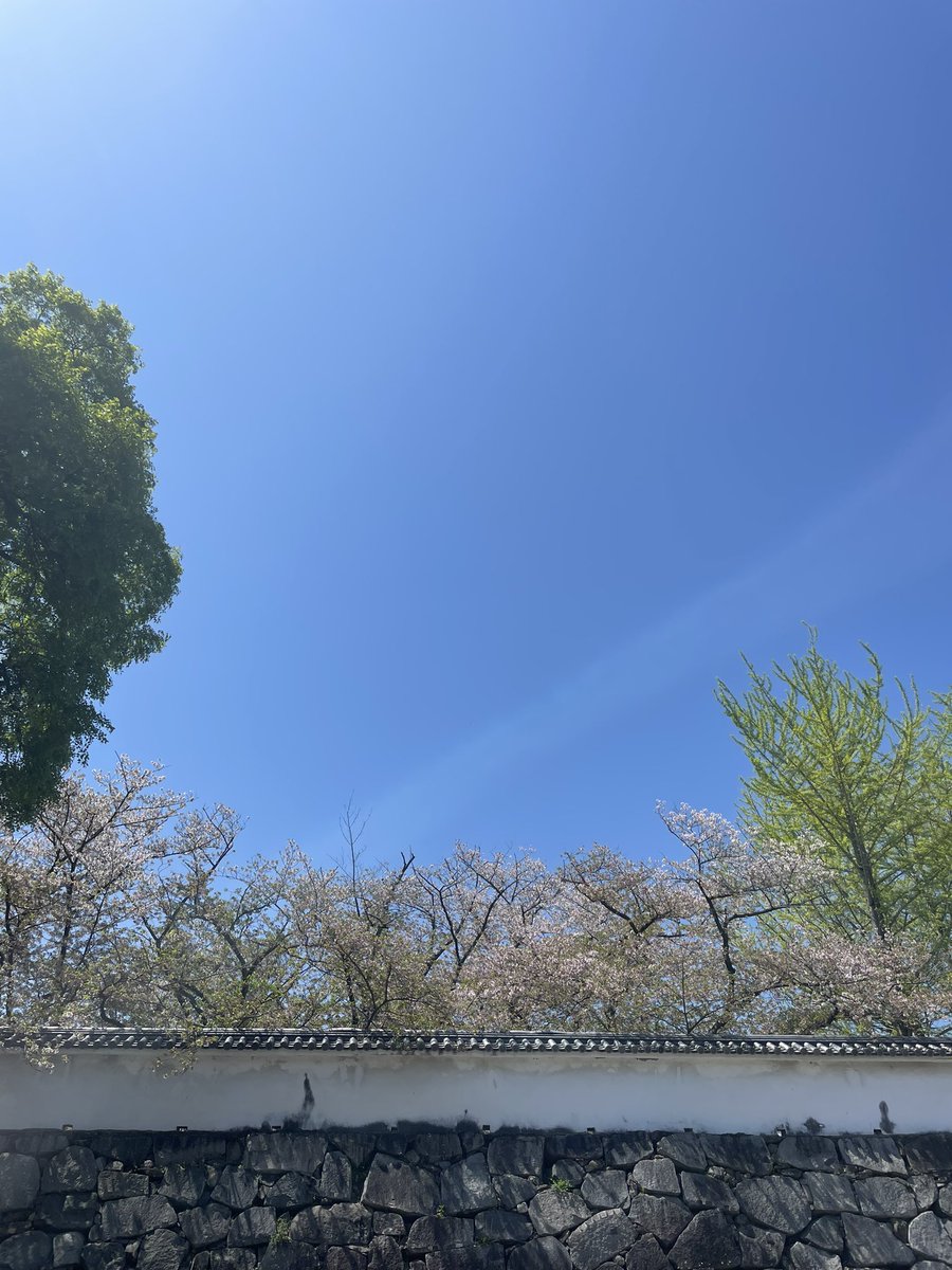 haru82010's tweet photo. 福岡！満喫 https://t.co/uKra9hM3Q6
