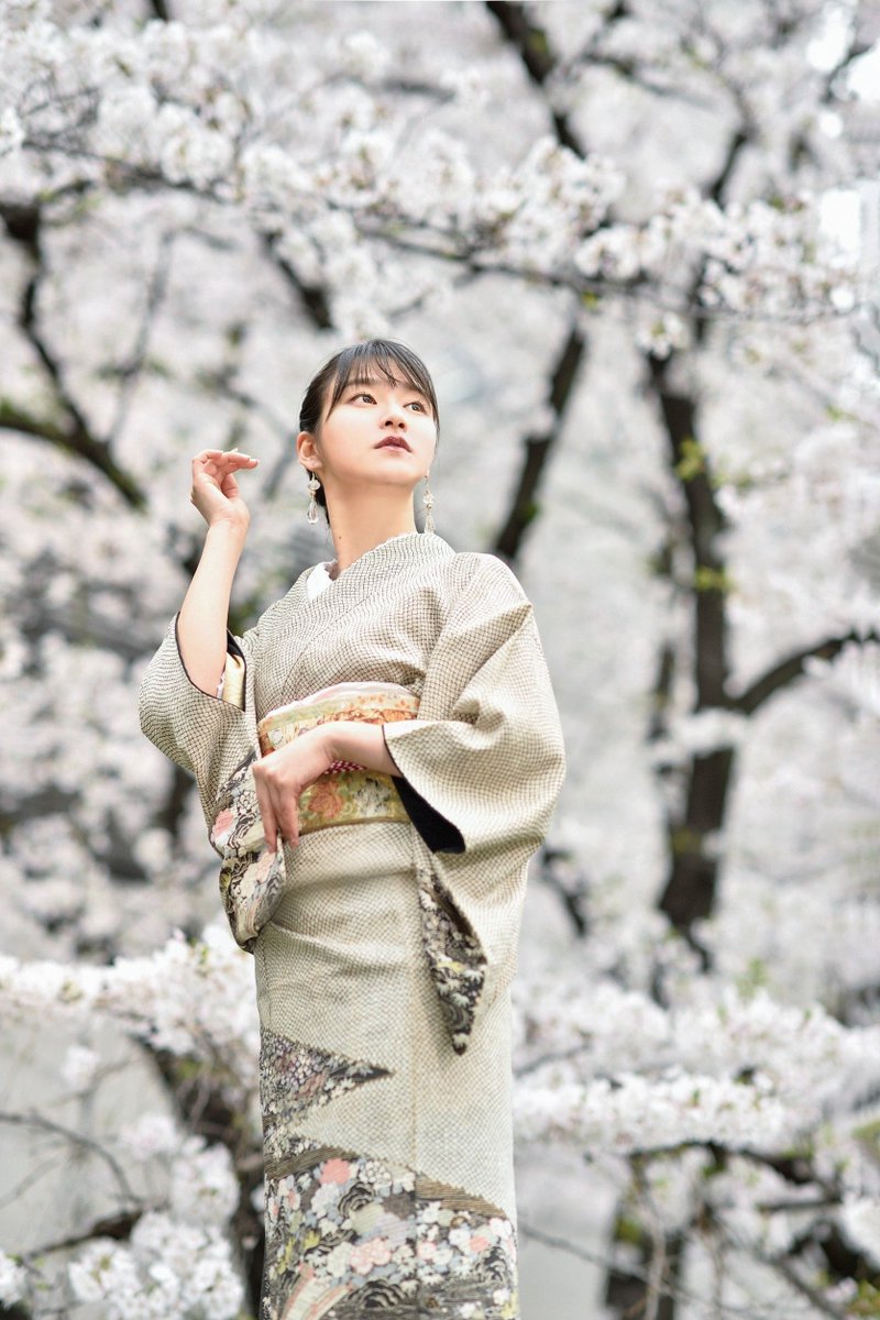 桜花爛熳🌸
<a href="/watagashi_d4s/">Watagashi</a>